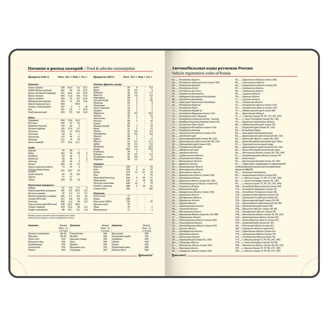 Ежедневник недатированный Brauberg "Iguana", А5, 160 л, кожзам, темно-синий / Ежедневники недатированные №9