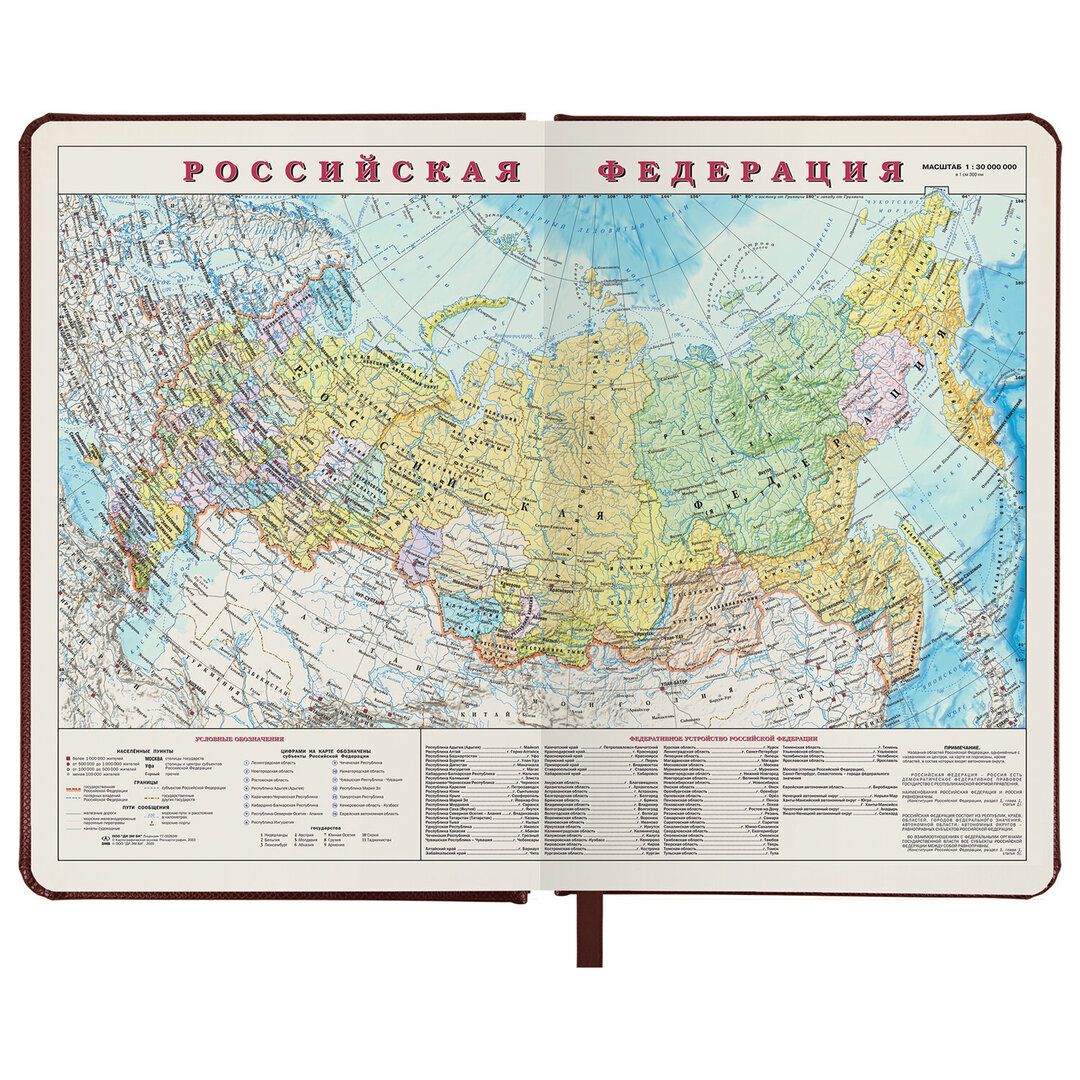 Ежедневник недатированный Brauberg "Iguana", А5, 160 л, кожзам, темно-коричневый / Ежедневники недатированные №5