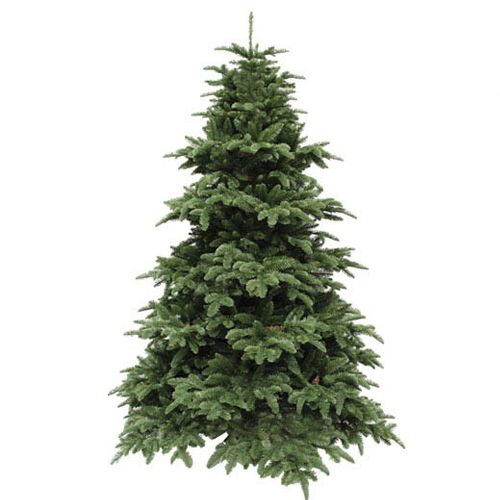 Елка искусственная Triumph tree "Tuscan", 392 ветки, диаметр 105 см, 155 см, зеленая / Елки, изделия из хвои