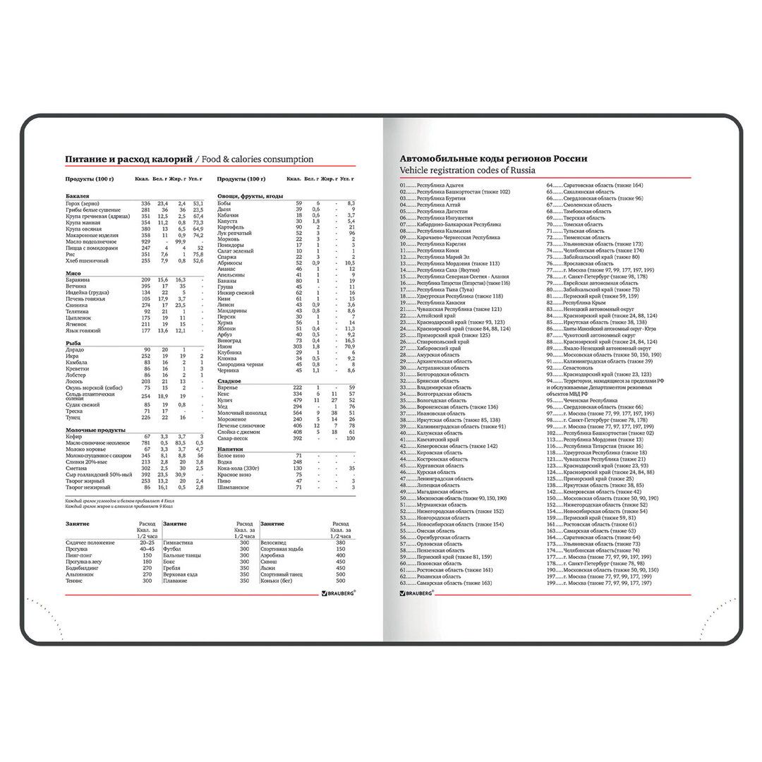 Ежедневник недатированный Brauberg "Aim", A5, 136 л., кожзам, бирюзовый / Ежедневники недатированные №8