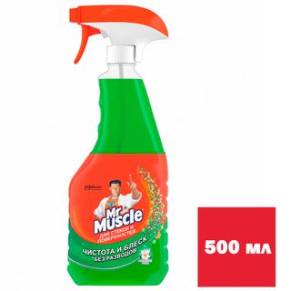 Әйнектерді жуғыш құрал Mr.Muscle, бүріккішпен, 530 мл / Әйнек жууға арналған құралдар