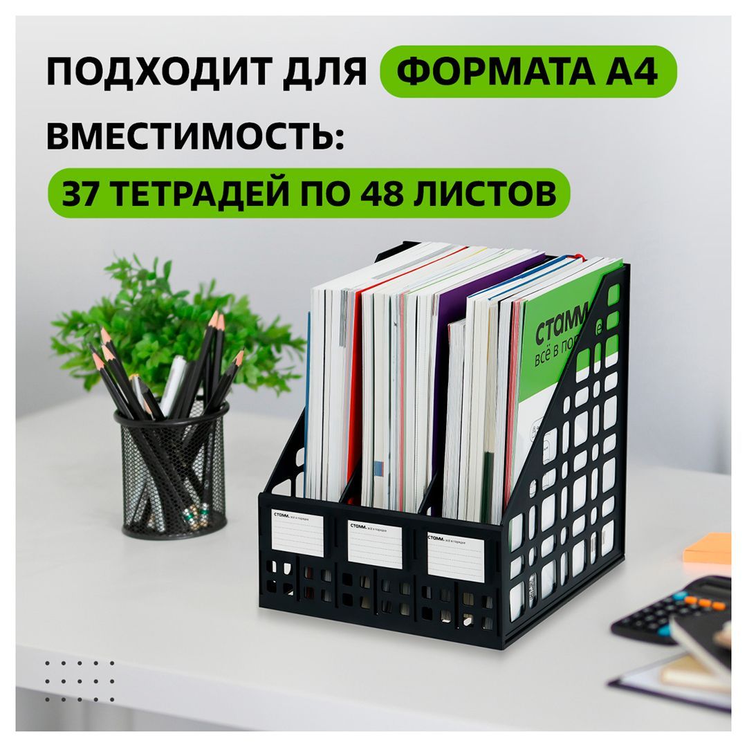 Лоток секционный вертикальный Стамм, 3 секции, черный / Лотки секционные №3