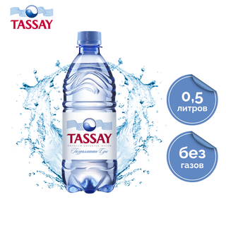 "Tassay" газдалмаған ауыз суы, 0,5 л, пластик бөтелке / Ауыз су