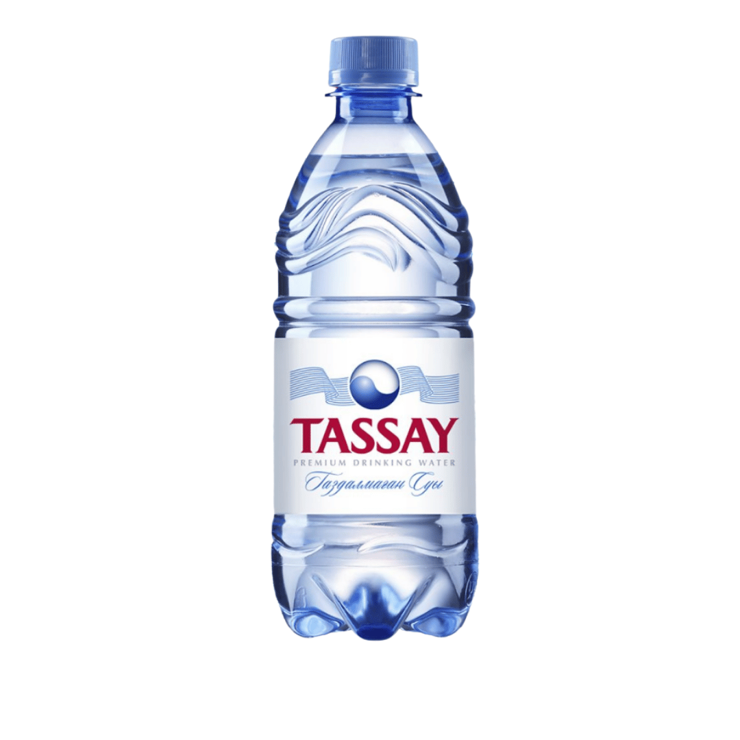 Вода негазированная питьевая "Tassay", 0,5 л, пластиковая бутылка / Вода питьевая oe.kz Вода негазированная питьевая "Tassay", 0,5 л, пластиковая бутылка / Вода питьевая
