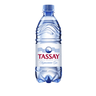 Вода негазированная питьевая "Tassay", 0,5 л, пластиковая бутылка / Вода питьевая