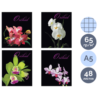 Дәптер Brauberg "Орхидея", A5, 48 парақ, тор көз, қапсырмада, суретпен / Дәптерлер oe.kz Дәптер Brauberg "Орхидея", A5, 48 парақ, тор көз, қапсырмада, суретпен / Дәптерлер