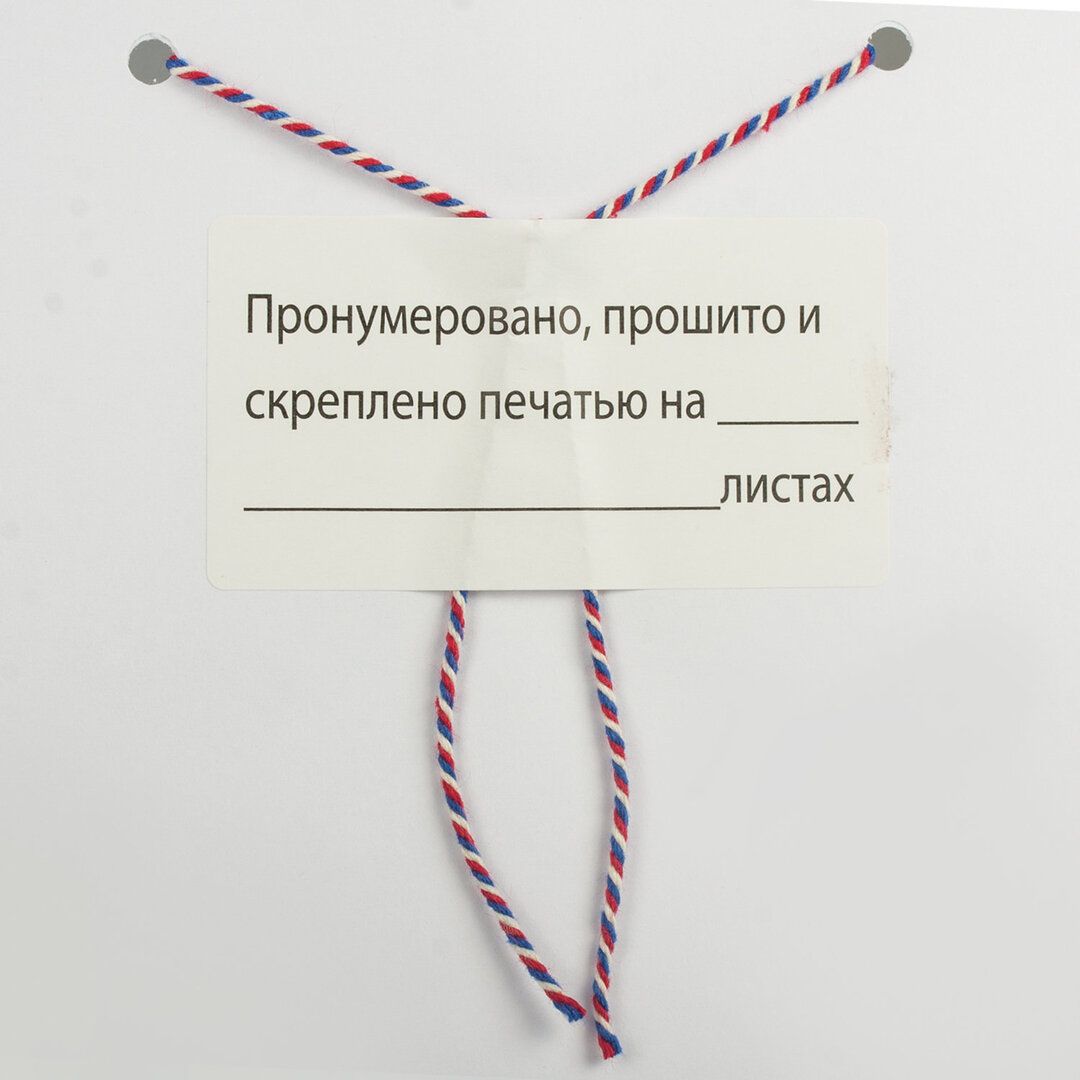 Этикетка самоклеящаяся Staff "Пронумеровано, прошито и скреплено", A4, 24 этикетки, 10 листов / Термоэтикетки, наклейки №2