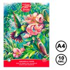 Сурет альбомы А4, ArtBerry "Колибри", 10 парақ, желімделген