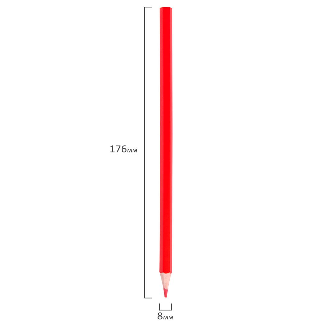 Интернетте дәретханада жыныстық қатынасқа түскен студенттердің порносын көру