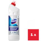 Универсальное чистящее средство Domestos Professional "Свежесть Атлантики", 1000 мл