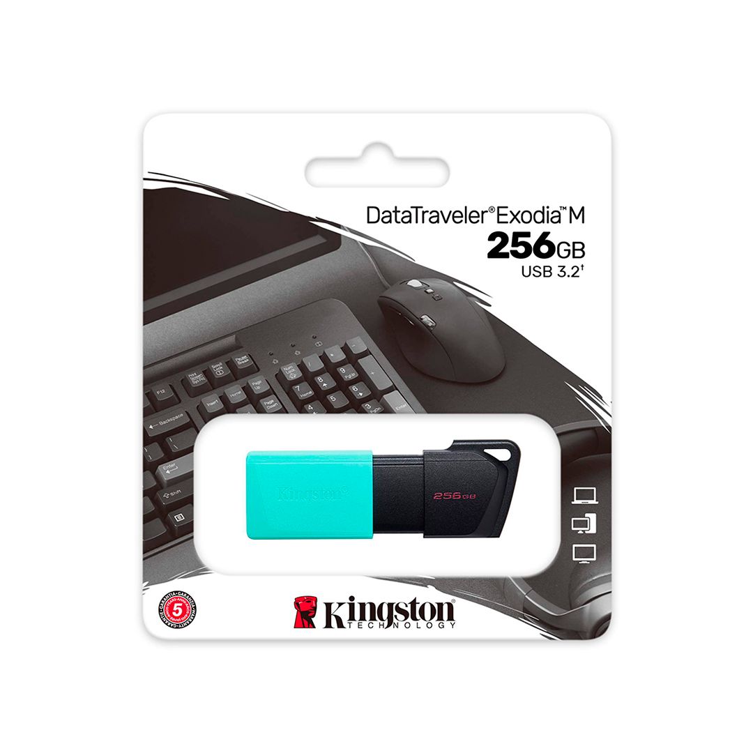 USB-флешка 256 Gb, Kingston DTXM/256GB, USB 3.2, бирюзовая