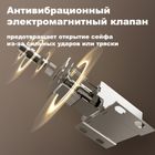 Сейф Deli "AE810", биометриялық + электронды код + кілт, 300*380*290 мм, 17 кг