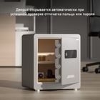 Жиһаз сейф Deli "AE102", биометриялық + электронды код, 600*420*340 мм, 34 кг