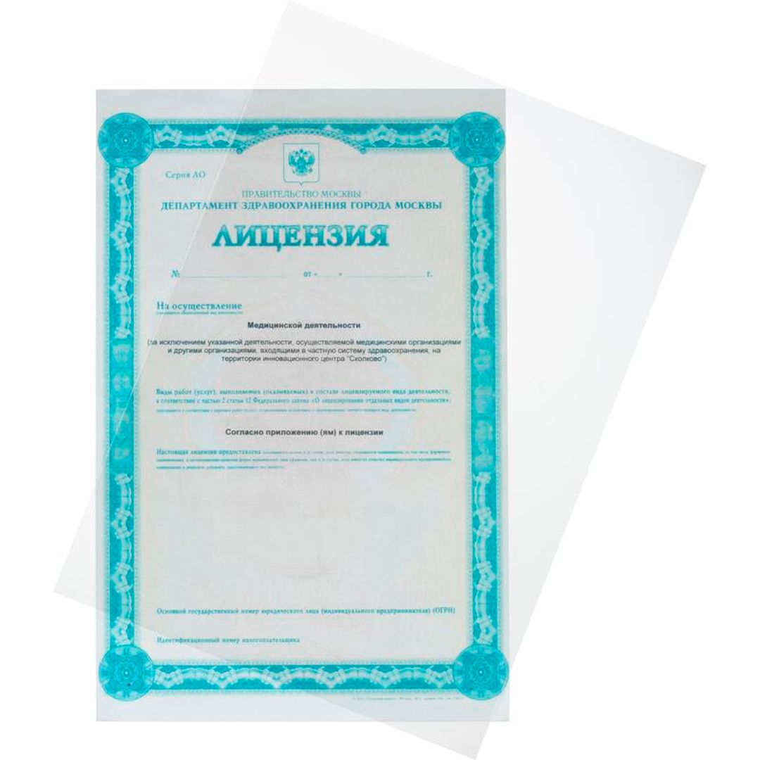 Обложки для переплета пластиковые ProMega office, А4, 300 мкр, полупрозрачные, 100 шт. в пачке / Пластиковые обложки №3