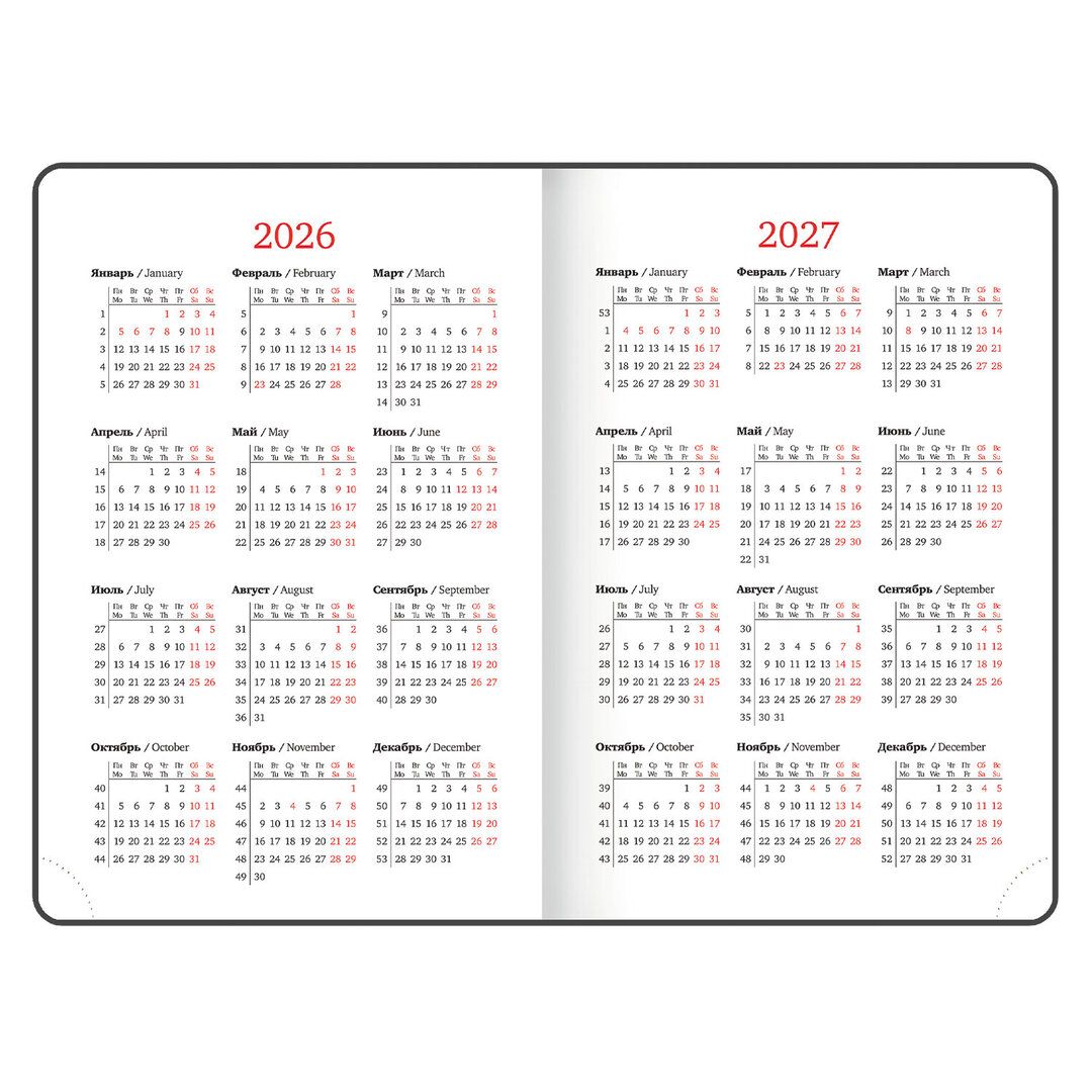 Ежедневник датированный Brauberg "Profile", 2026 г, А5, 168 л, балакрон, синий / Ежедневники датированные №6