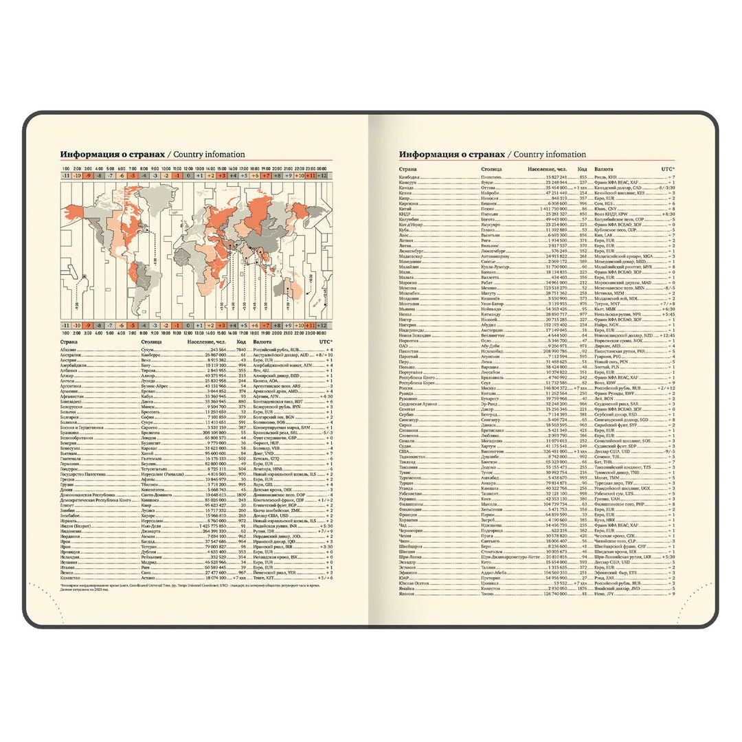 Ежедневник датированный Brauberg "Imperial", 2026 г, А5, 168 л, кожзам, черный / Ежедневники датированные №9