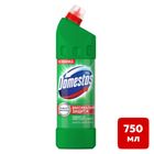 Сантехниканы тазартқыш құрал Domestos "Қылқан жапырақ балғындығы", 750 мл