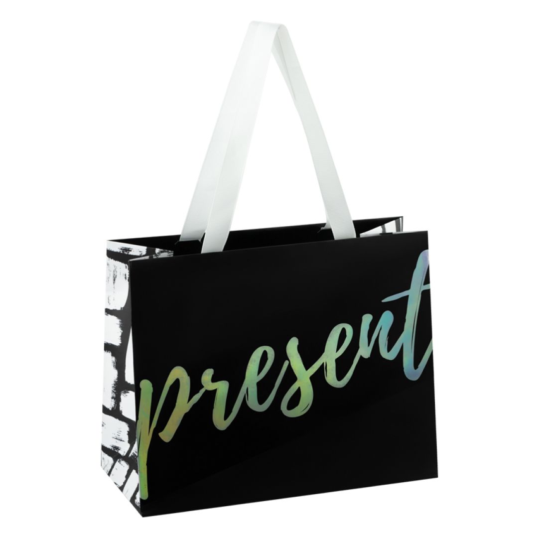 Пакет подарочный Meshu "Present Black", размер 23*18*10 см, матовая ламинация / Упаковка подарков oe.kz Пакет подарочный Meshu "Present Black", размер 23*18*10 см, матовая ламинация / Упаковка подарков