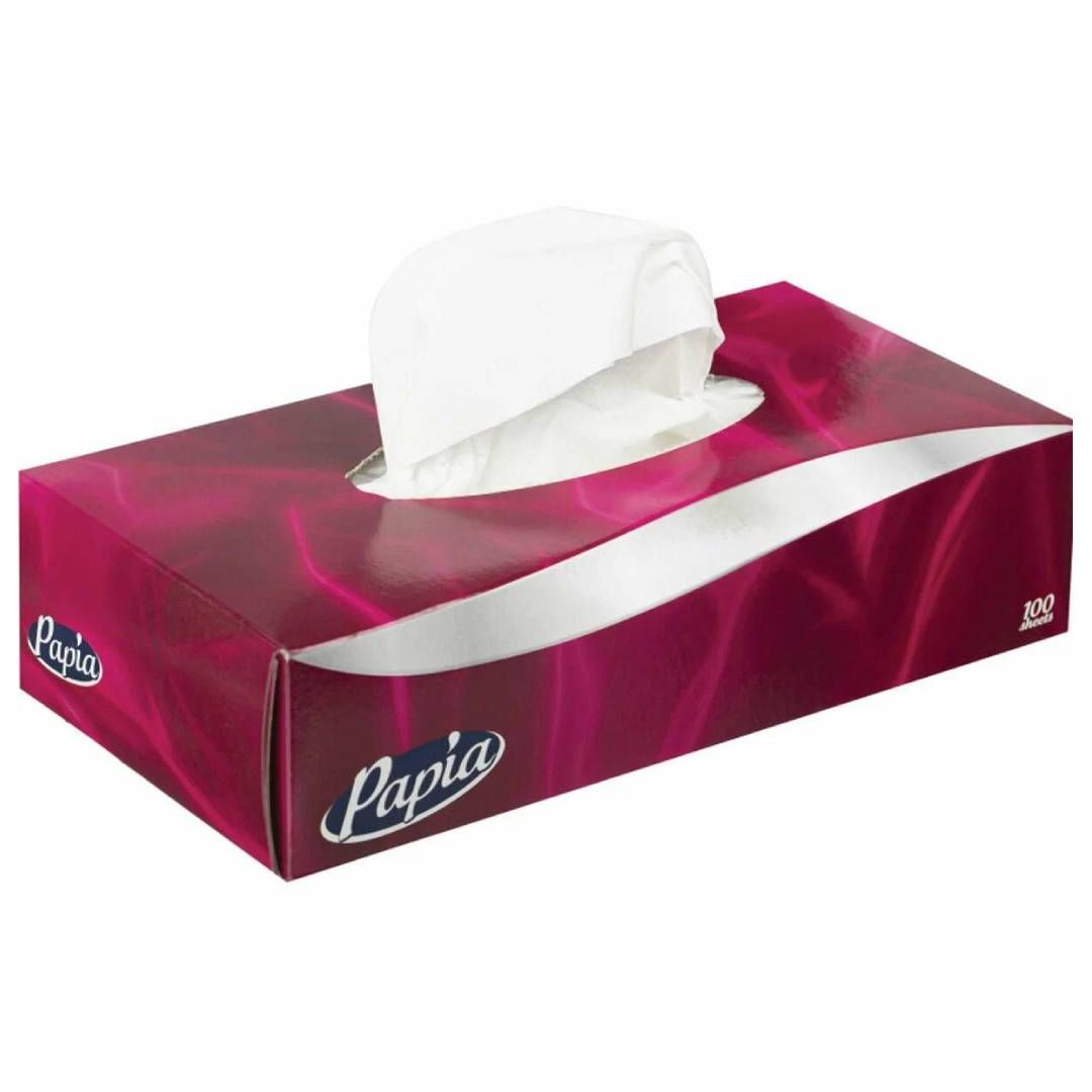 Салфетки Papia, 2-х слойные, 100 шт., размер листа 21*21 см, в картонном боксе, белые / Салфетки бумажные №2