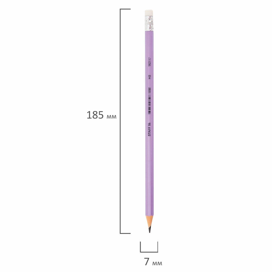 Карандаш чернографитный Staff "Everyday" BLP-CLR HB, пластиковый, заточенный с ластиком, ассорти / Карандаши чернографитные №3