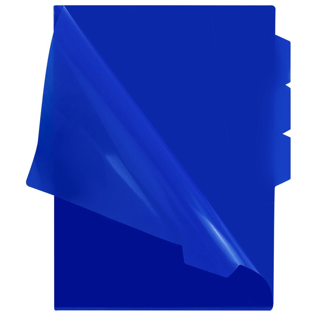 Папка-уголок Brauberg "Special", А4 формат, 150 мкм, 3 отделения, синяя / Папки-уголки №2