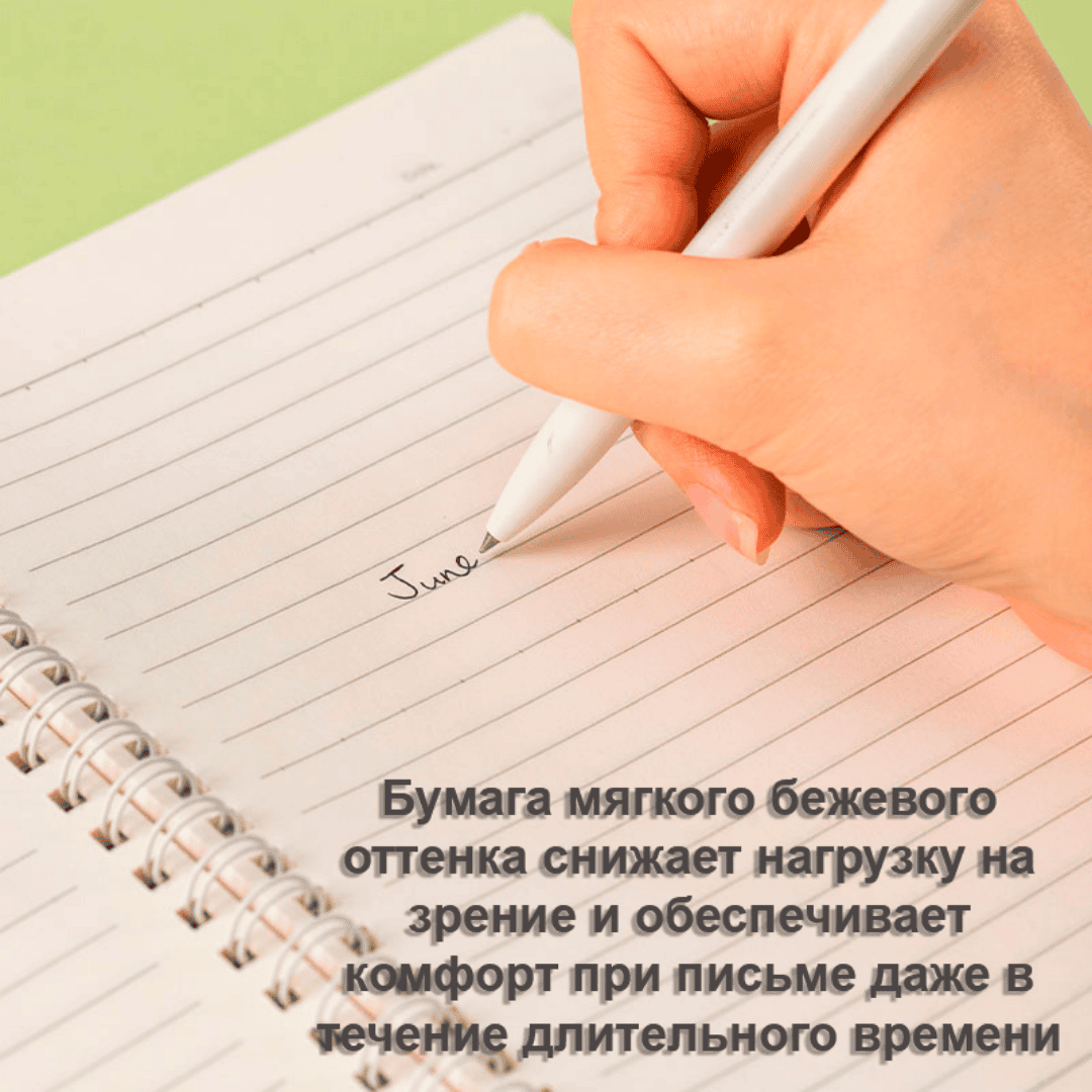 Қойын дәптер Berlingo "Fuze", А5, 80 парақ, тор көз, көгілдір / Қойын дәптерлер №6