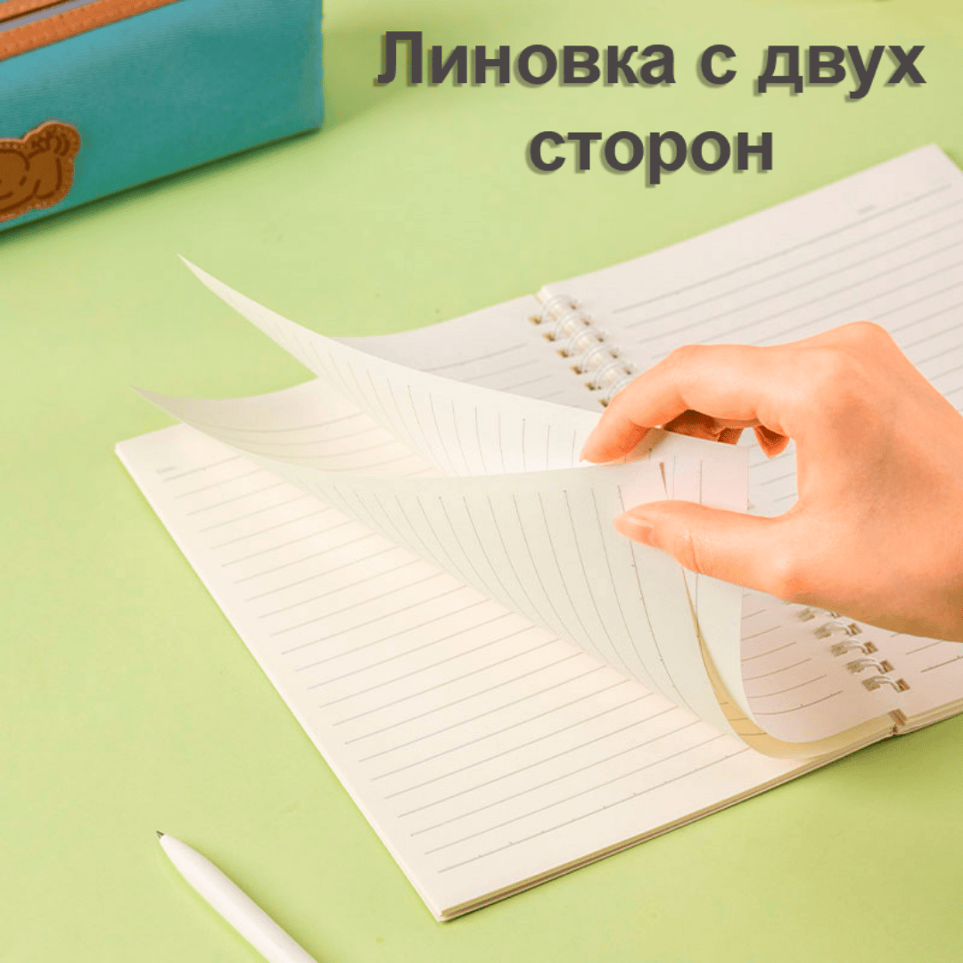 Қойын дәптер Berlingo "Fuze", А5, 80 парақ, тор көз, көгілдір / Қойын дәптерлер №7