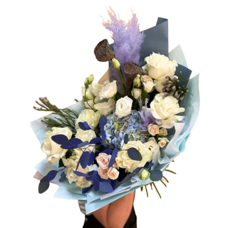 / Өсімдіктер oe.kz / Өсімдіктер