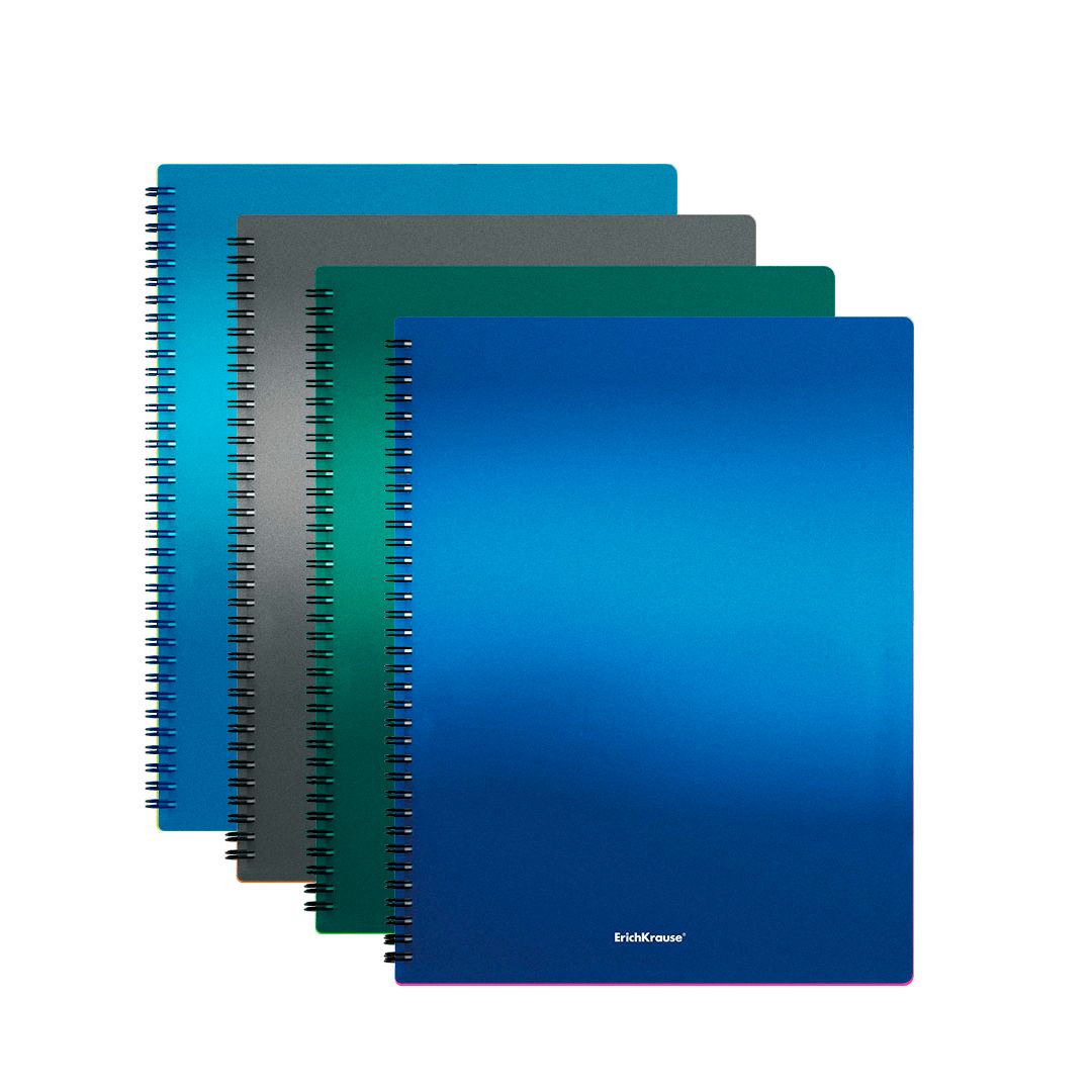 Папка файловая на 40 файлов Erich Krause "Matt Ice Metallic", А4 формат, на спирали, ассорти / Папки файловые oe.kz Папка файловая на 40 файлов Erich Krause "Matt Ice Metallic", А4 формат, на спирали, ассорти / Папки файловые