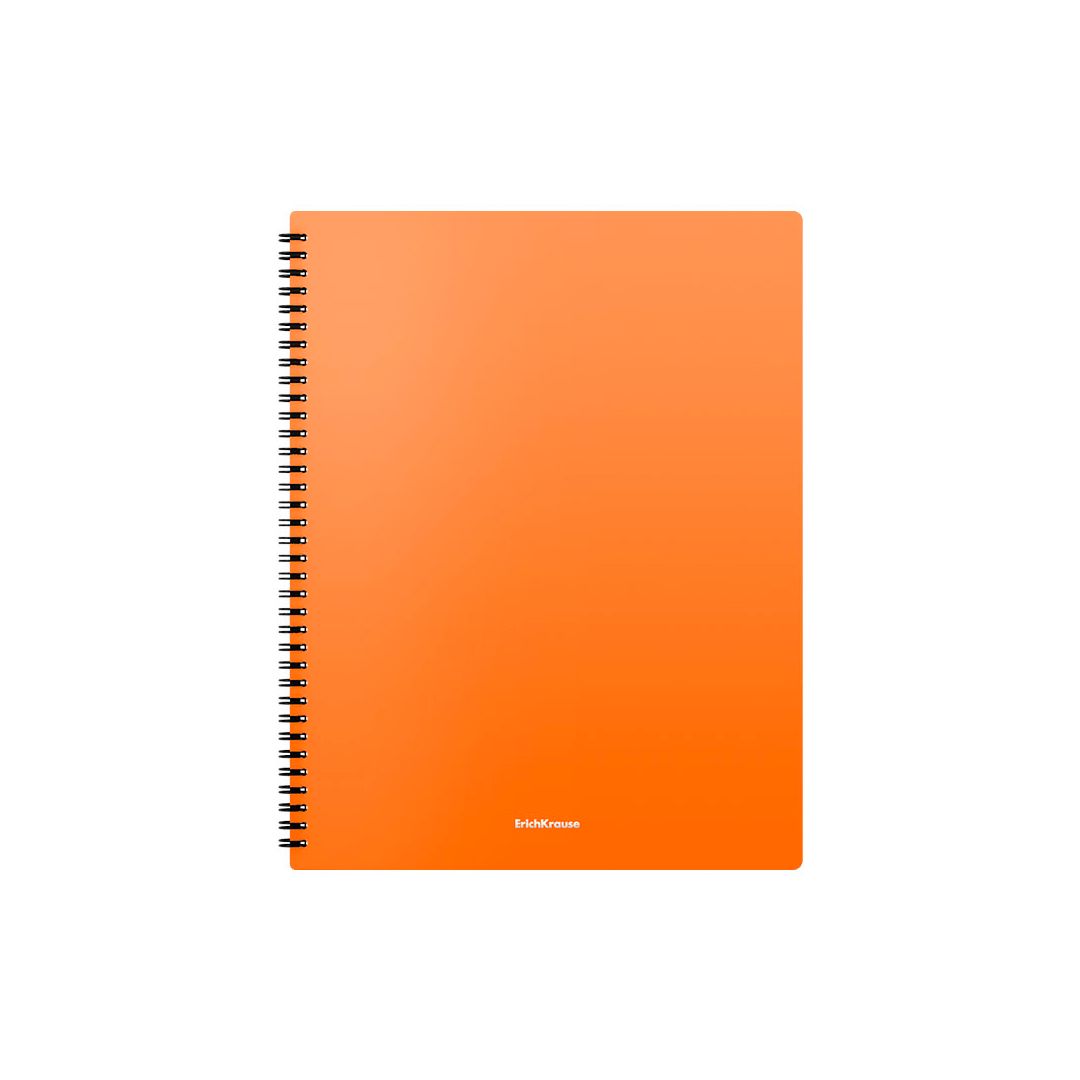 Папка файловая на 40 файлов Erich Krause "Matt Neon", А4 формат, на спирали, ассорти / Папки файловые №3 oe.kz Папка файловая на 40 файлов Erich Krause "Matt Neon", А4 формат, на спирали, ассорти / Папки файловые №3