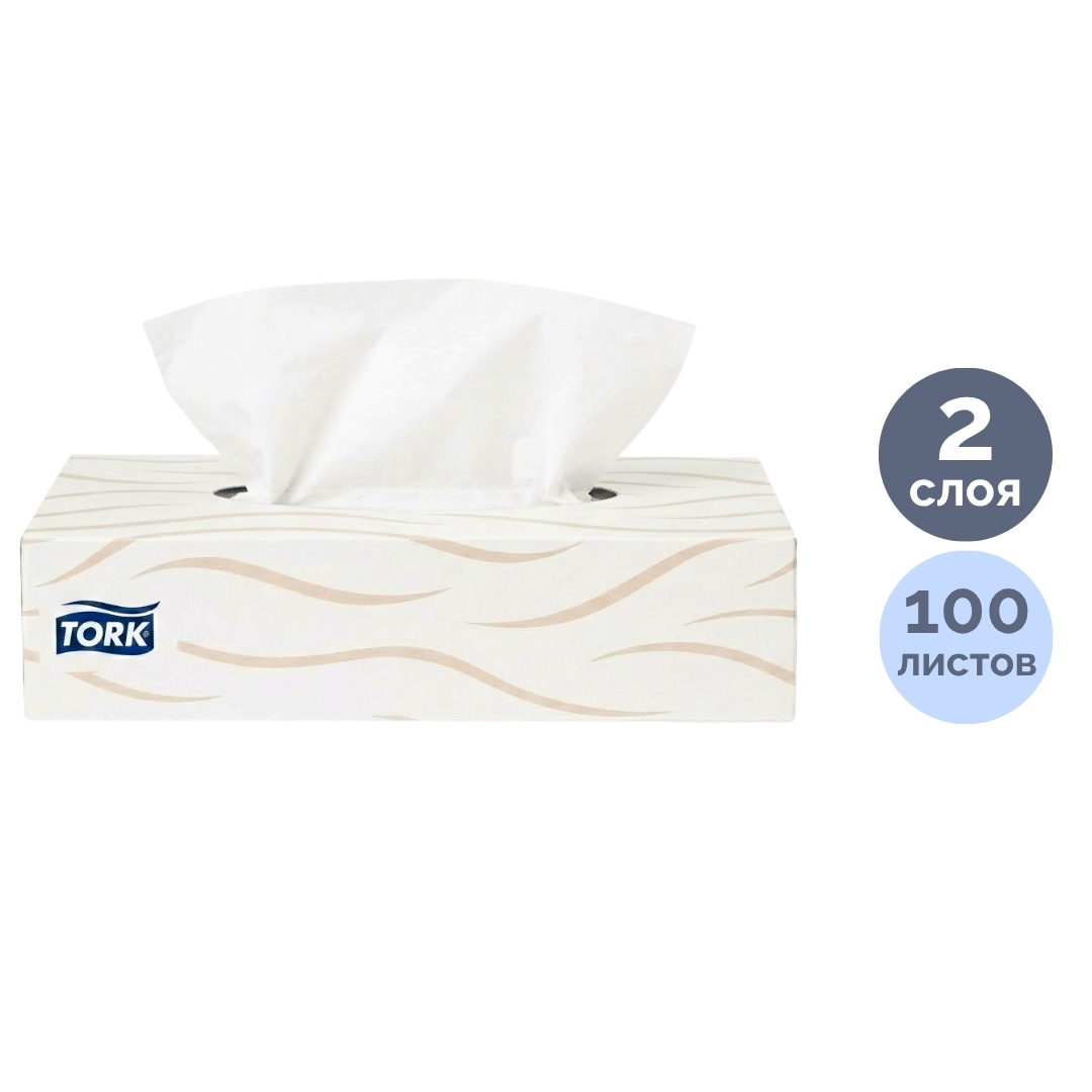 Салфетки Tork Premium, 2-х слойные, 100 шт., размер листа 21*20 см, в картонном боксе, белые / Салфетки бумажные №2 oe.kz Салфетки Tork Premium, 2-х слойные, 100 шт., размер листа 21*20 см, в картонном боксе, белые / Салфетки бумажные №2